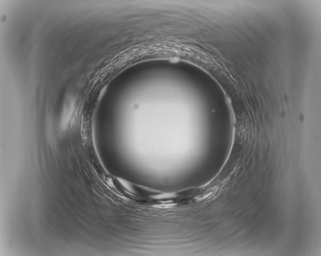 X0000059081490200510101129