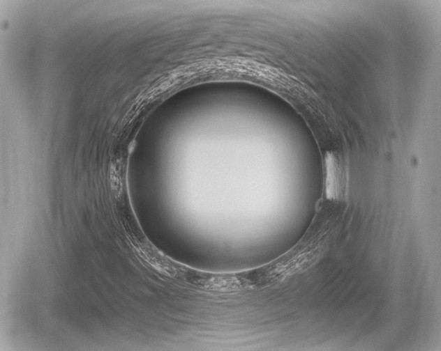 X0000059081491200510101129