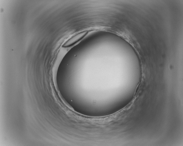 X0000059080001200510172041