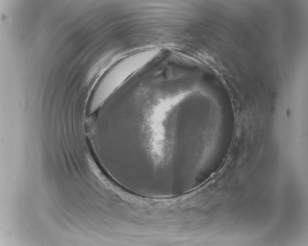 X0000059080002200510172041