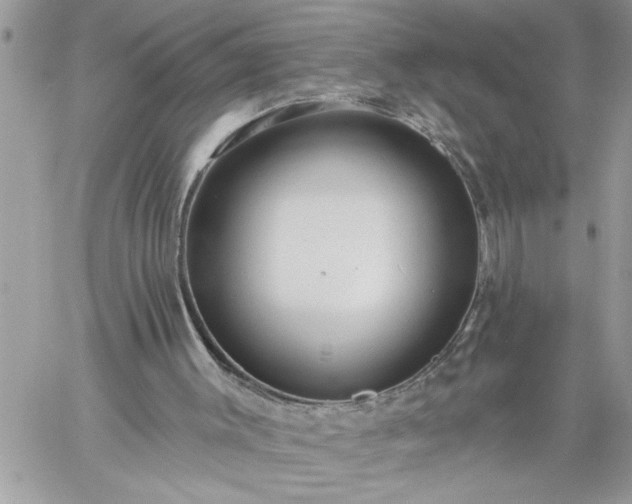 X0000059080003200510172041