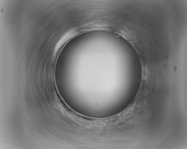 X0000059080004200510172041