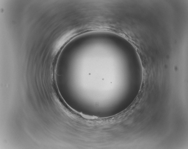 X0000059080005200510172041