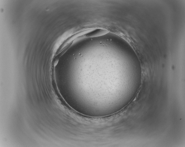 X0000059080006200510172041