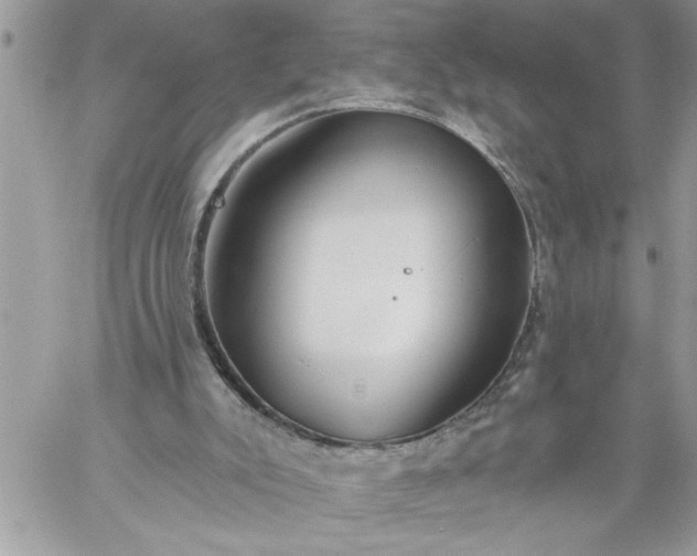 X0000059080007200510172041