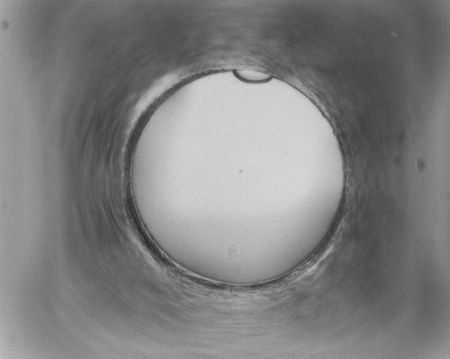 X0000059080008200510172041