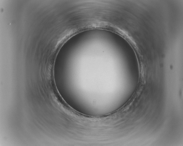 X0000059080010200510172041