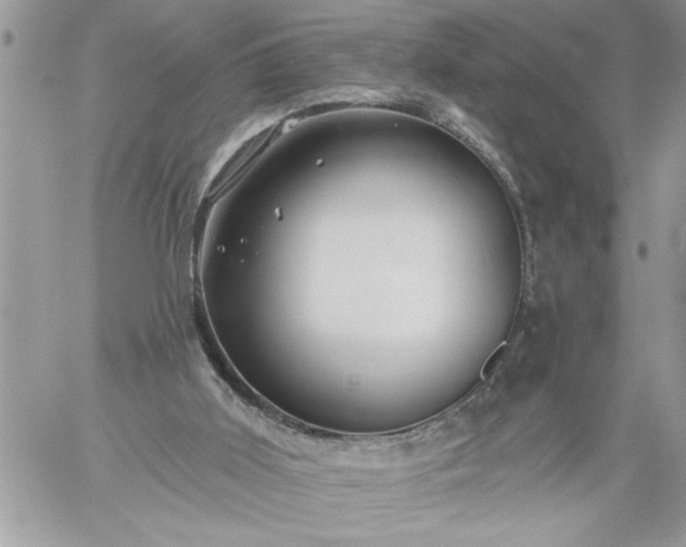 X0000059080011200510172041