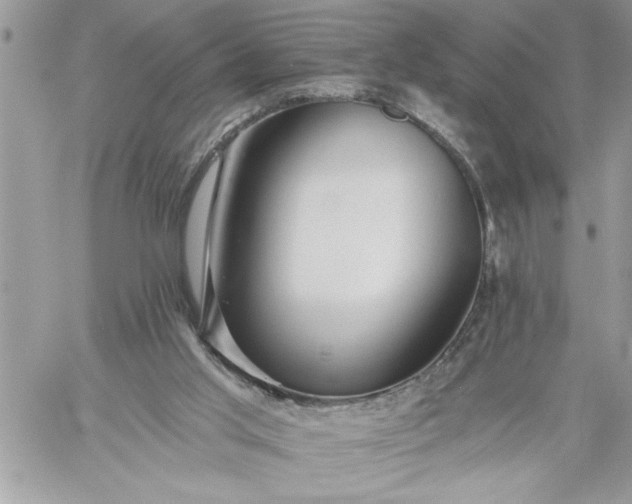 X0000059080013200510172041