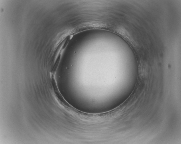 X0000059080014200510172041