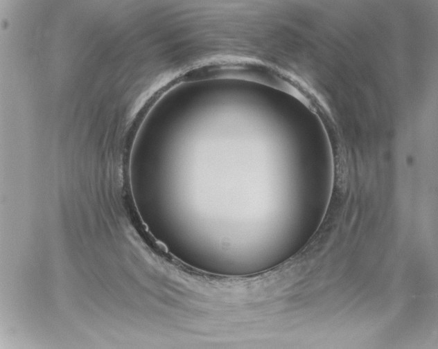 X0000059080015200510172041