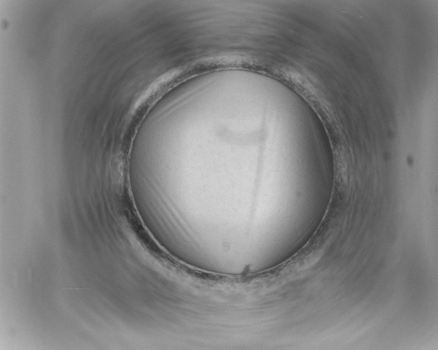 X0000059080016200510172041