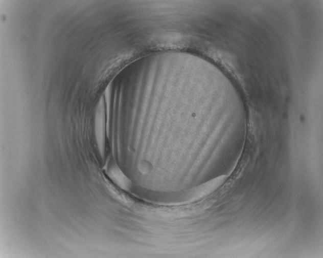 X0000059080017200510172041