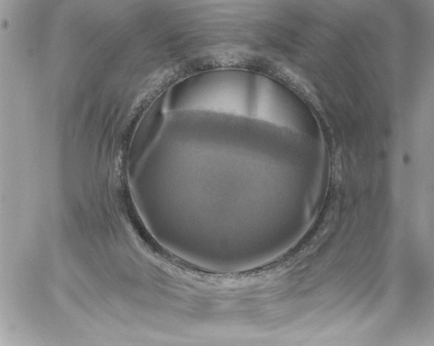 X0000059080018200510172041