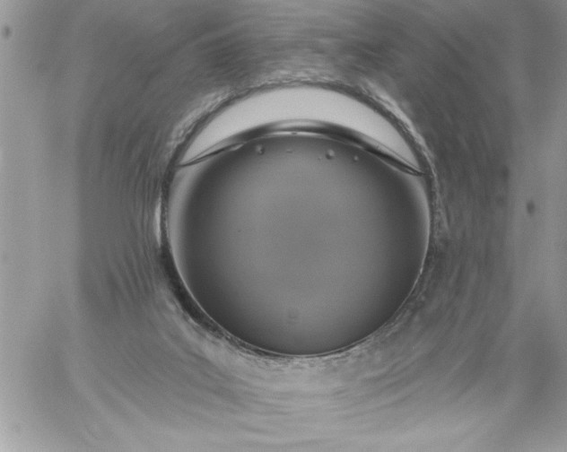 X0000059080019200510172041