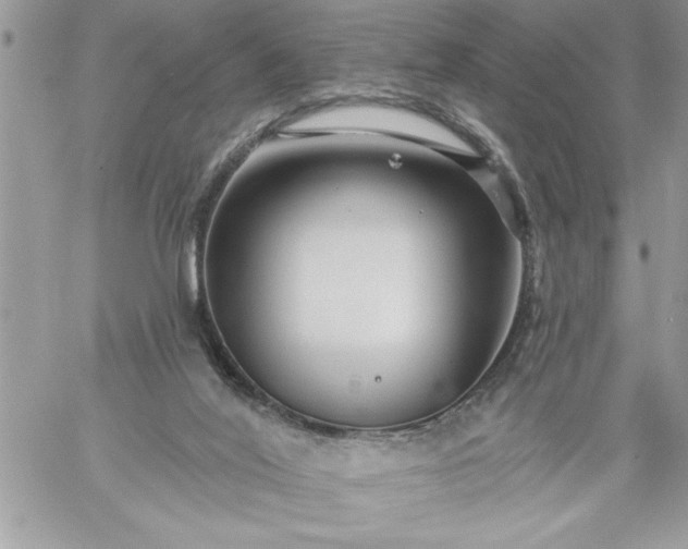 X0000059080020200510172041