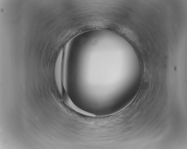 X0000059080021200510172041