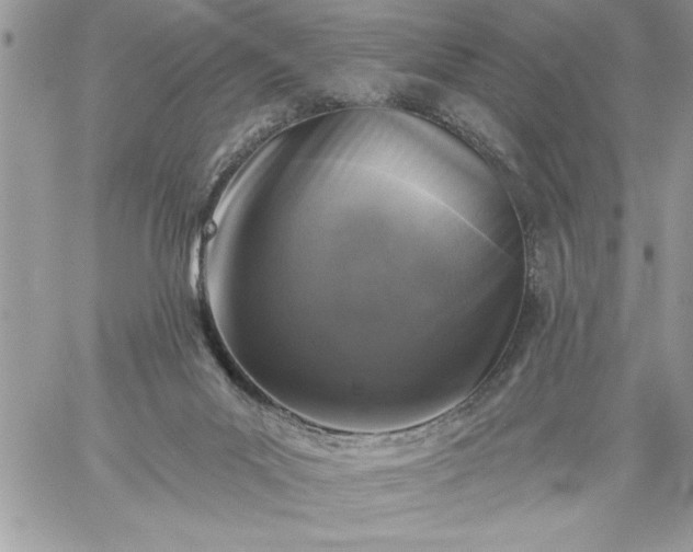 X0000059080023200510172041