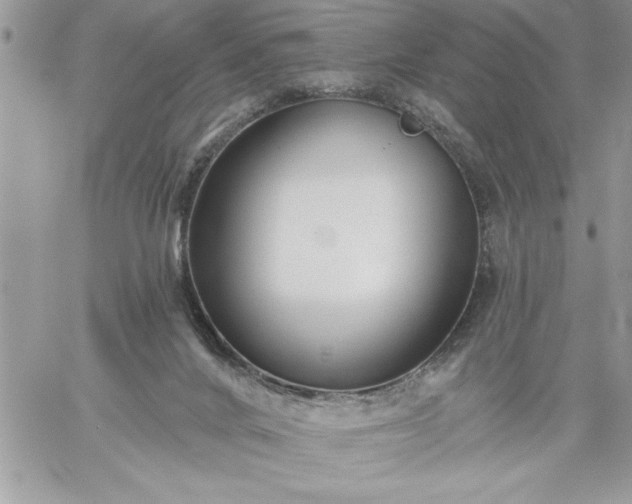 X0000059080024200510172041