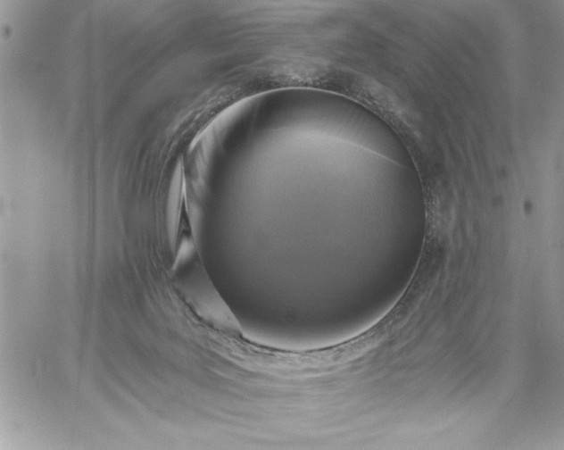 X0000059080027200510172041