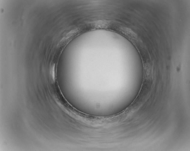 X0000059080028200510172041