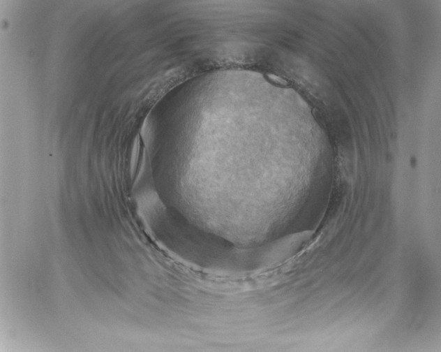 X0000059080029200510172041