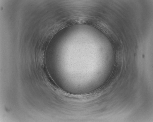 X0000059080030200510172041