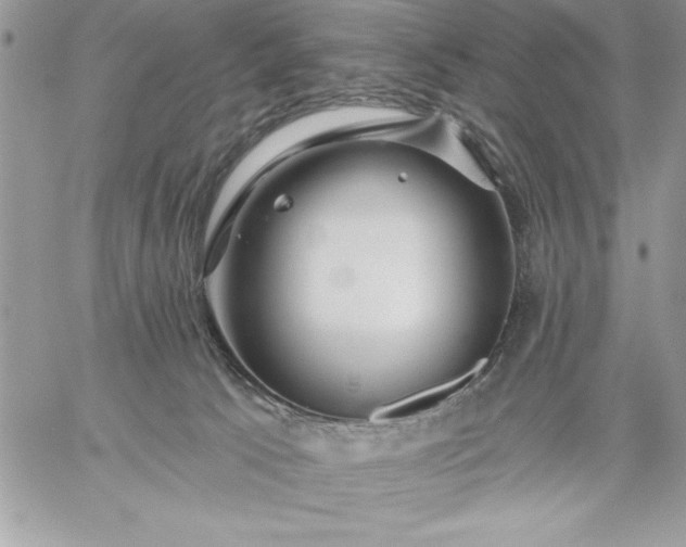 X0000059080033200510172041