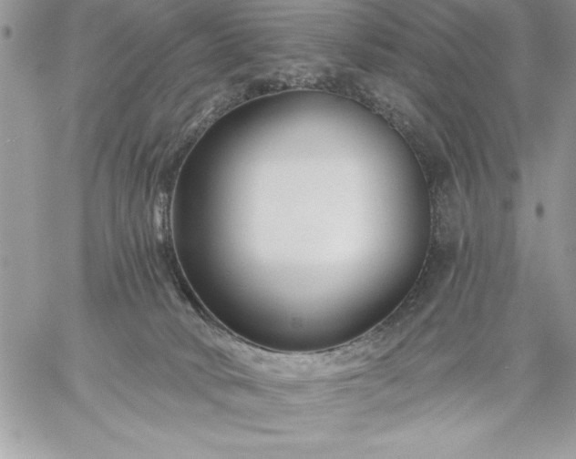 X0000059080034200510172041