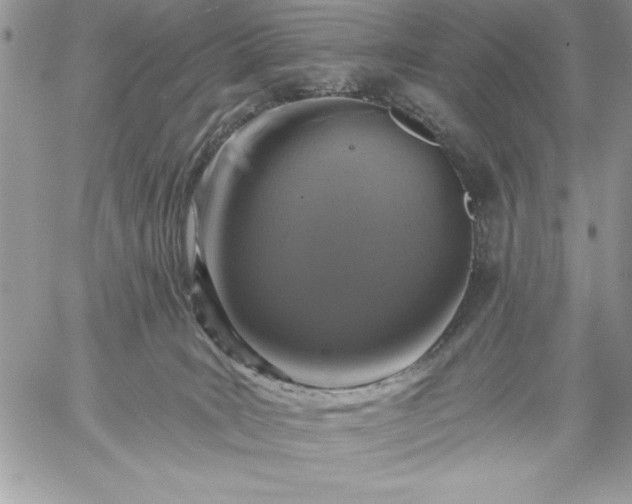 X0000059080035200510172041