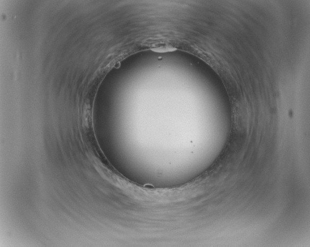 X0000059080038200510172041