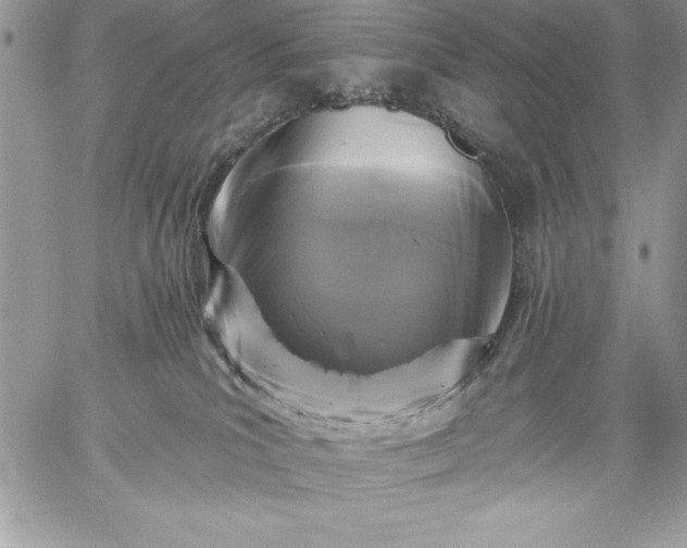 X0000059080039200510172041