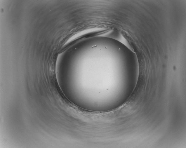 X0000059080040200510172041