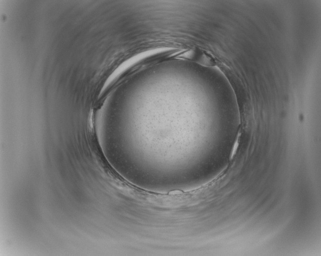 X0000059080041200510172041