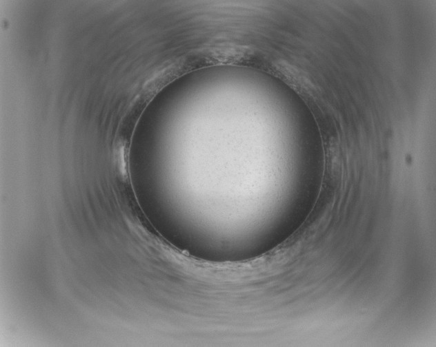 X0000059080042200510172041