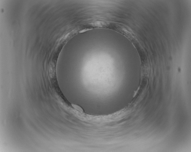 X0000059080043200510172041