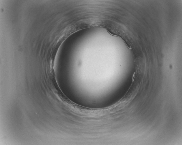 X0000059080044200510172040