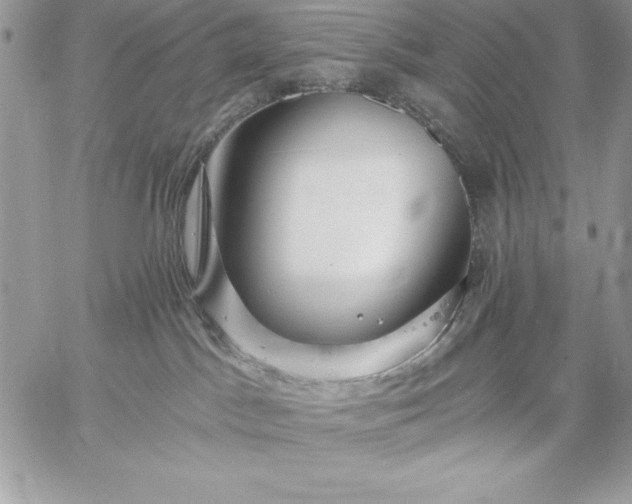 X0000059080045200510172040