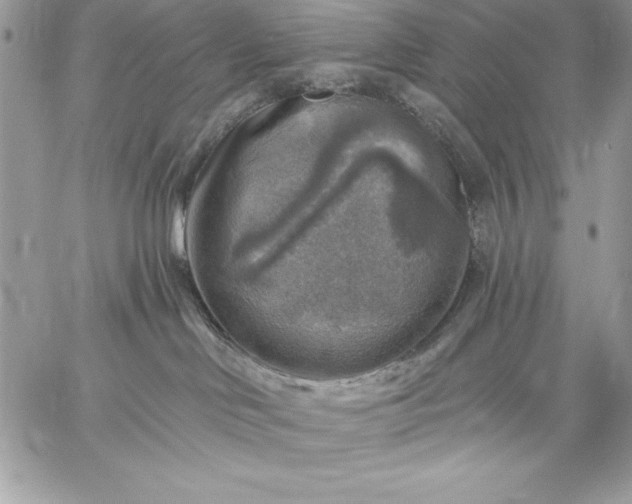 X0000059080046200510172040