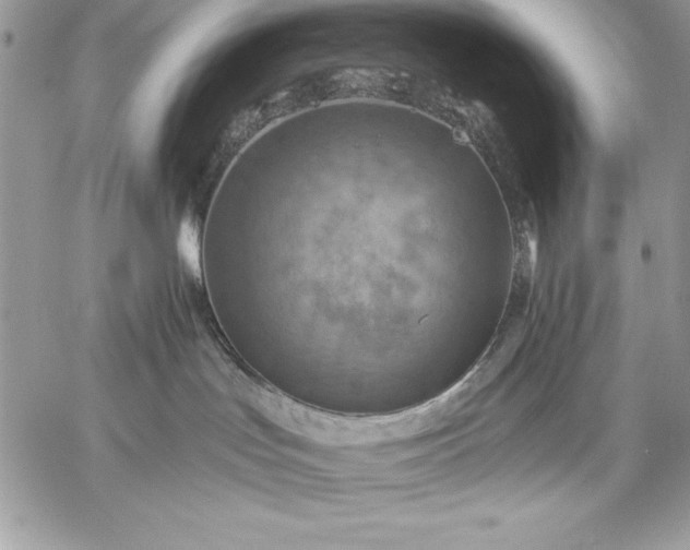 X0000059080047200510172040