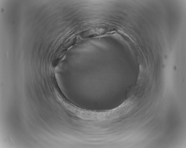 X0000059080048200510172040