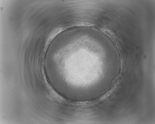 X0000059080049200510172040