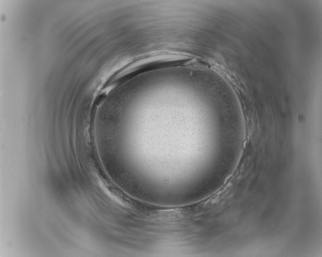 X0000059080050200510172040