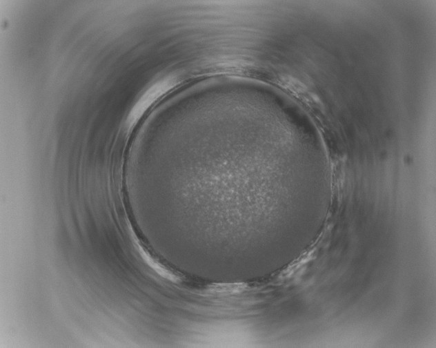 X0000059080051200510172040