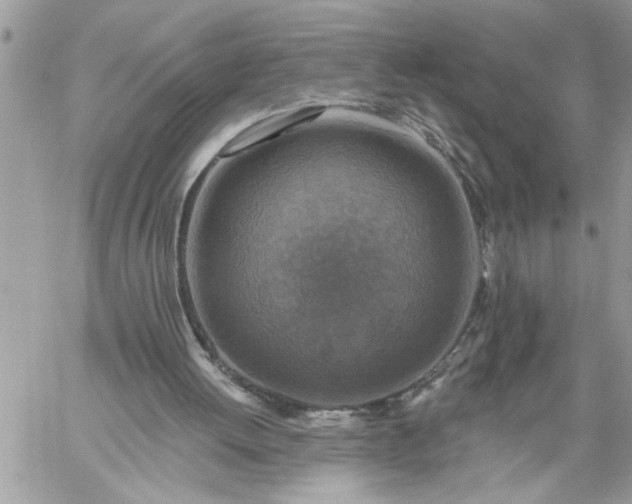 X0000059080052200510172040