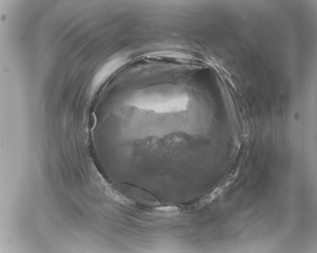 X0000059080053200510172040