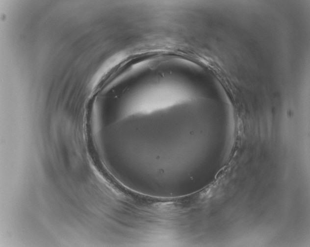 X0000059080054200510172040