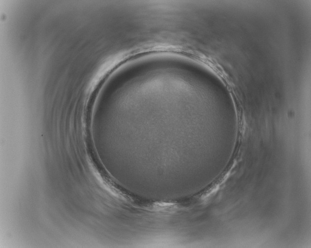 X0000059080055200510172040