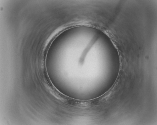 X0000059080056200510172040