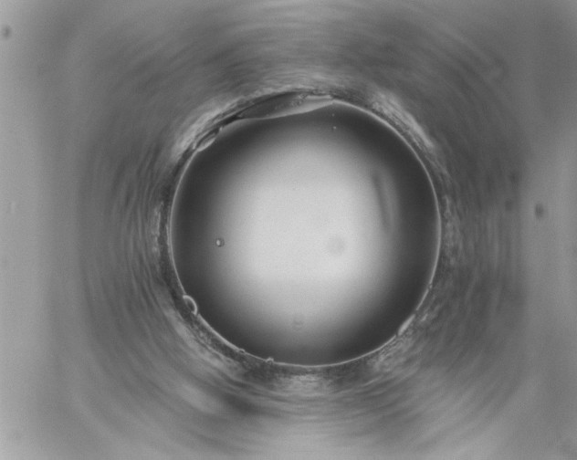 X0000059080058200510172040